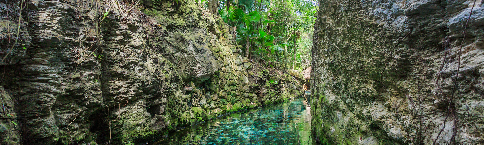 Maya Yucatan Tours Eco Park